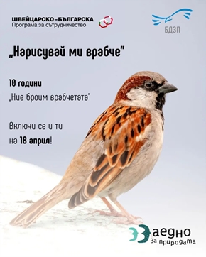 Отбелязваме Международния ден на птиците с конкурс за детска рисунка