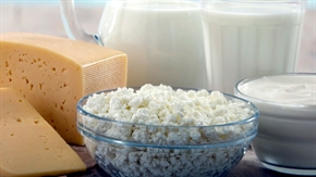 Организации на производители в сектор „Мляко и млечни продукти“ могат да кандидатстват за финансиране на нови оперативни програми