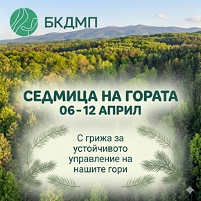  Зеленото богатство на България: Отбелязваме Седмицата на гората за 101-ви път