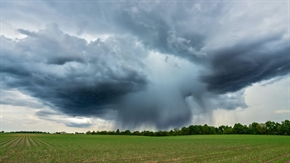 От 13 юли земеделските стопани от сектор Растениевъдство могат да подават заявления за премиите по застрахователните схеми