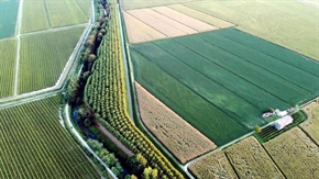 До 10 ноември стопаните имат възможност да изразят несъгласие, коригират или оттеглят заявленията си след резултатите от Системата за мониторинг на площ