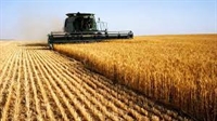  До края на декември земеделските стопани могат да избират как да облагат доходите си