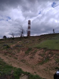 Залесяване в село Карлиево, Община Златица