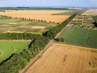  ИНФОРМАЦИОННА СРЕЩА ЗА ФИНАНСИРАНЕ ОТ ОСП 2020 