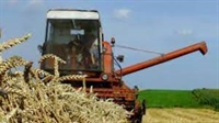 Вижте откъде малките стопани могат да научат за финансиране в земеделието