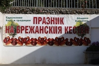 ПРАЗНИКЪТ НА БРЕЖАНСКИЯ КЕСТЕН - ВКУСЪТ НА ЕСЕНТА, МАГИЯТА НА ТРАДИЦИИТЕ И ТОПЛИНАТА НА ЕДНО ГОСТОПРИЕМНО СЕЛО 