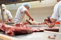 Удължават приема на заявления за подпомагане за инвестиции в кланиците