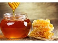 Проект: Пчелният мед влиза задължително в менюто по училищните схеми