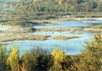 „Сребърна“ стана биосферен парк на ЮНЕСКО