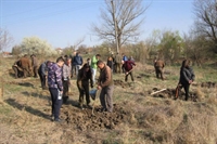 Засаждат 2001 дръвчета в Пазарджик