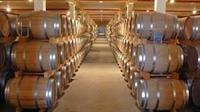 През юли отварят втори прием за инвестиции във винарни