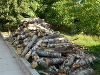  Общинска кампания за предоставяне на дърва за огрев в Банско