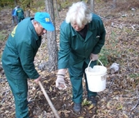 Залесяват с дъбове горски територии в община Балчик