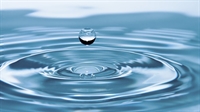 Празник на водата организират Радио Благоевград и „Водоснабдяване и канализация” ЕООД – Благоевград в Световния ден на водата – 22 март