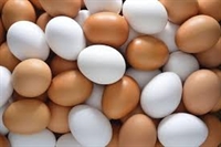 Изтеглиха яйца от българския пазар заради птичи грип