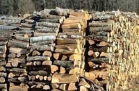 8 склада за продажба на дърва отварят в Югозападна България