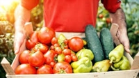 Регистърът на търговците на плодове и зеленчуци може да заработи още през 2020 г.