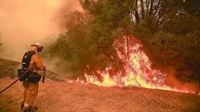 Обявен е пожароопасен сезон за всички области в страната