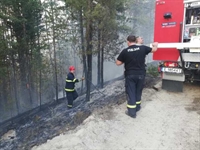 Нов пожар в района на Елешница