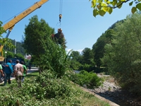 „Биострой” отстрани паднало дърво в реката минути след подаден сигнал